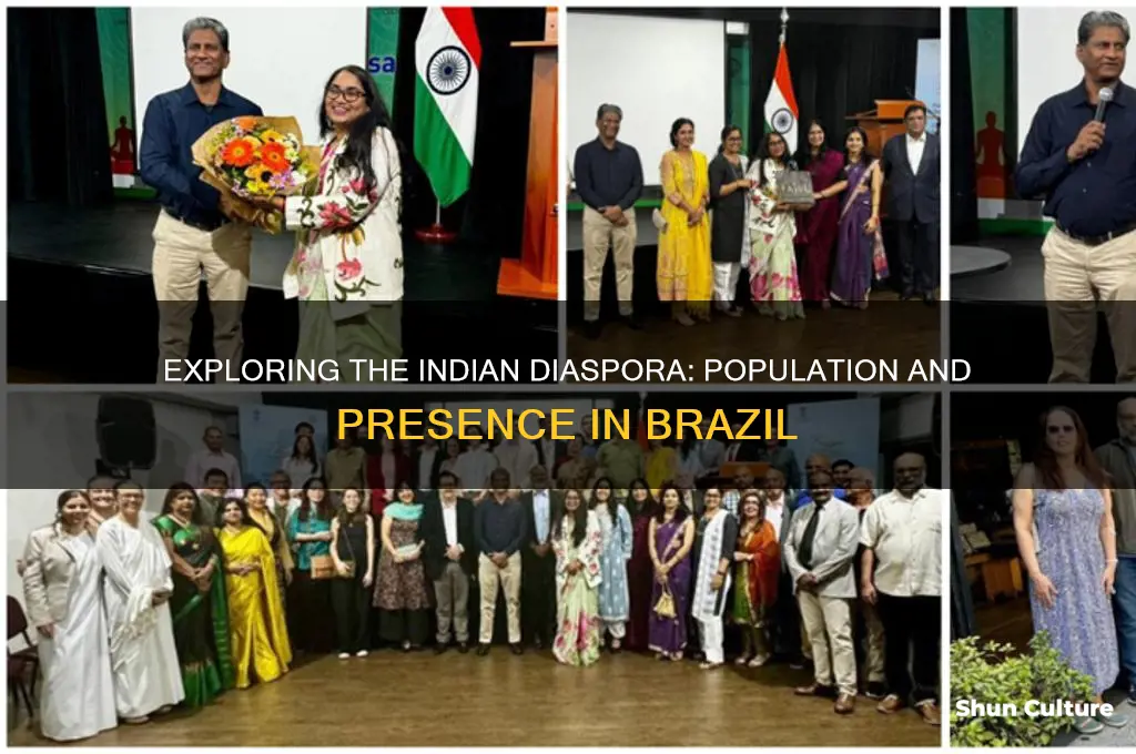 how many indian in brazil