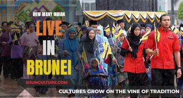 Indian Expats in Brunei: A Thriving Community