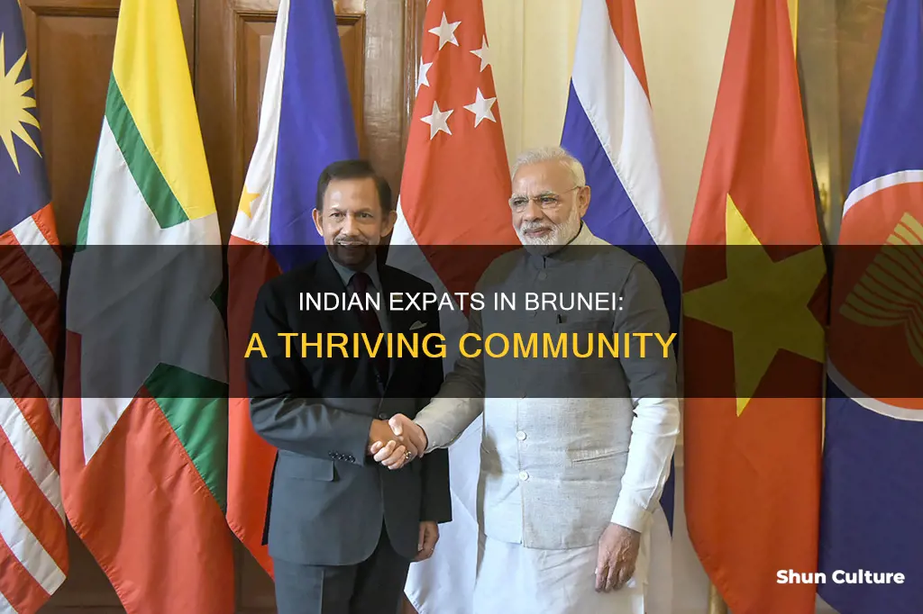 how many indian live in brunei