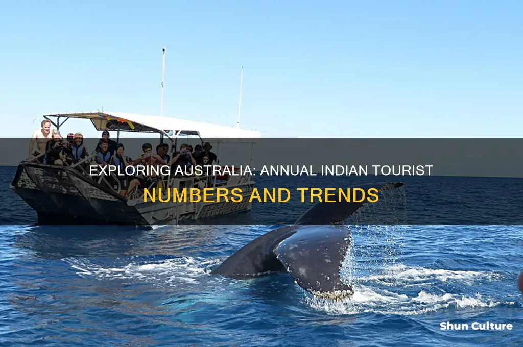 how many indian tourists visit australia each year