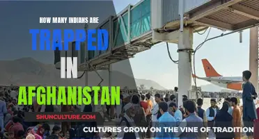 Left Behind: The Plight of Indians Stranded in Afghanistan