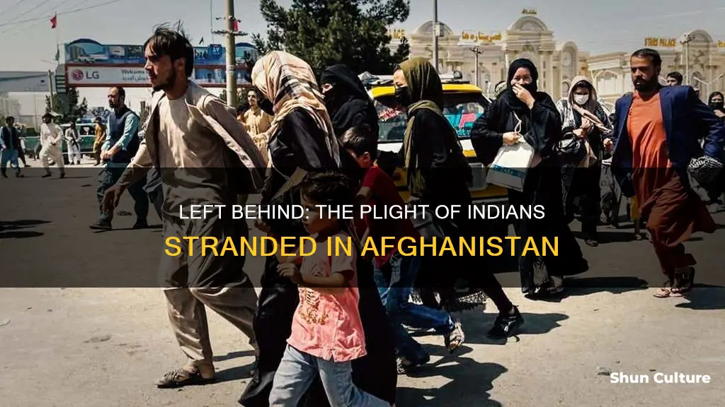 how many indians are trapped in afghanistan