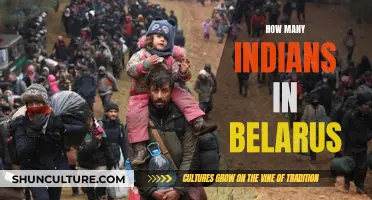 Indians in Belarus: A Community Overview