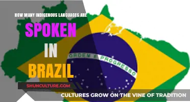 Exploring Brazil's Indigenous Languages: A Rich Linguistic Heritage Unveiled
