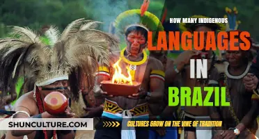 Exploring Brazil's Indigenous Languages: A Rich Cultural Tapestry Unveiled