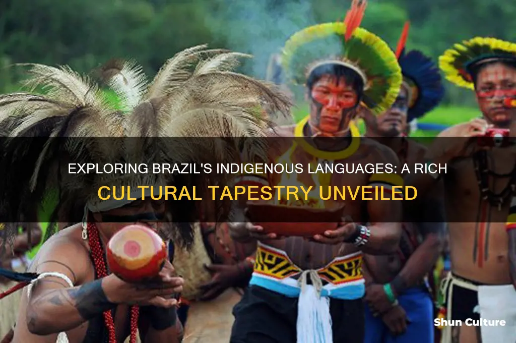 how many indigenous languages in brazil
