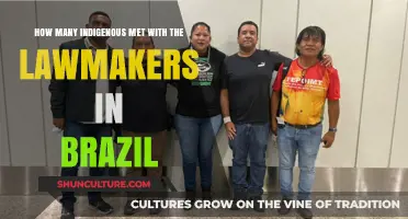 Indigenous Leaders Meet Brazilian Lawmakers to Discuss Rights and Representation