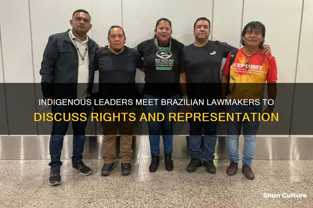 how many indigenous met with the lawmakers in brazil