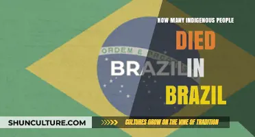 Brazil's Indigenous Tragedy: Untold Deaths and Historical Erasure
