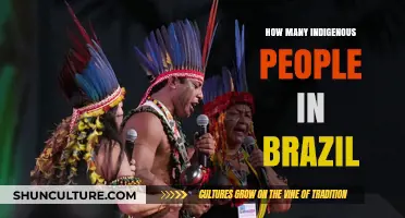 Brazil's Indigenous Population: Unveiling the Rich Diversity and Numbers