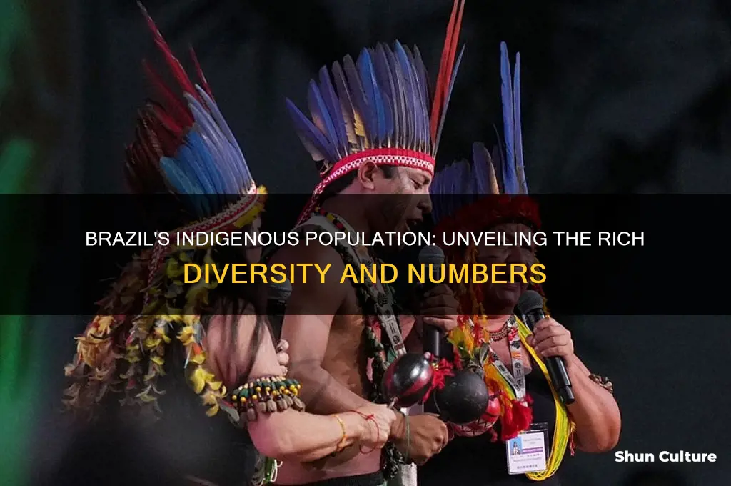 how many indigenous people in brazil
