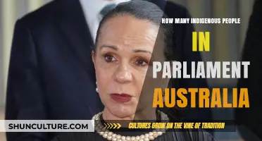 Indigenous Representation in Australian Parliament: The Numbers