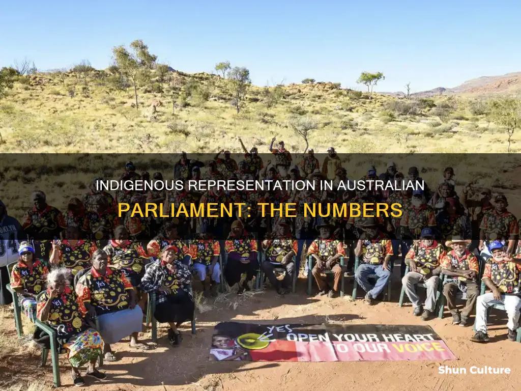 how many indigenous people in parliament australia
