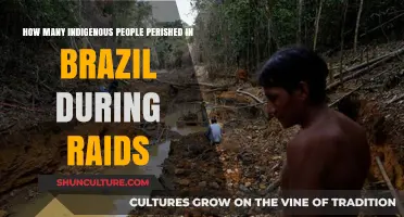 Indigenous Lives Lost: Brazil's Raids and Their Devastating Toll