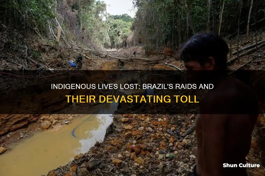 how many indigenous people perished in brazil during raids