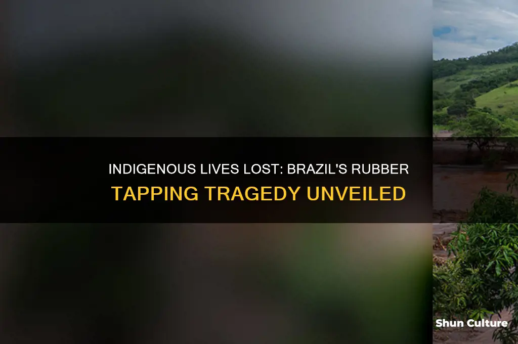 how many indigenous people persihed in brazil tapping