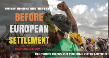 Brazil's Indigenous Population: Pre-European Settlement Estimates and Insights