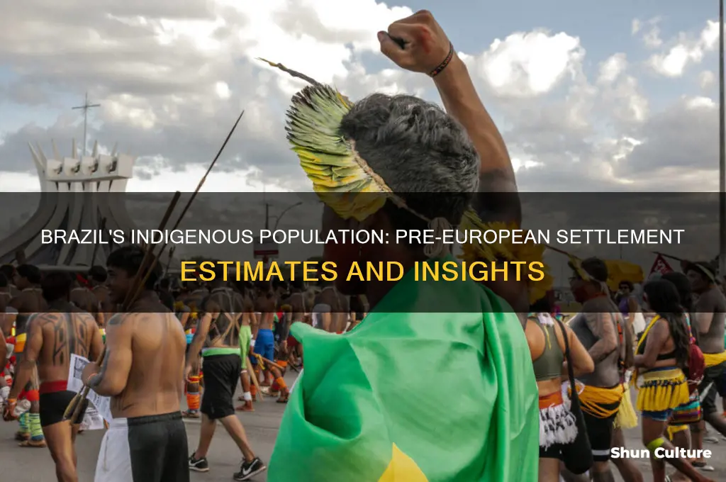 how many indigenous were there in brazil before european settlement