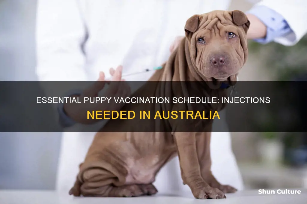 how many injections do puppies need in australia