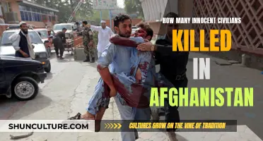 The Unspoken Toll: Afghanistan's Civilian Casualties