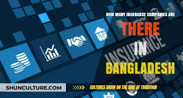 Exploring Bangladesh's Insurance Sector: A Comprehensive Count of Companies