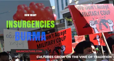 Unraveling the Complex Insurgency Landscape in Burma: A Deep Dive