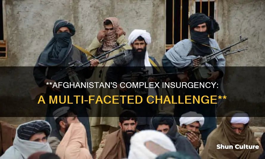 how many insurgent groups in afghanistan