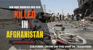 The Human Cost of War: Examining the Toll of Insurgent Deaths in Afghanistan