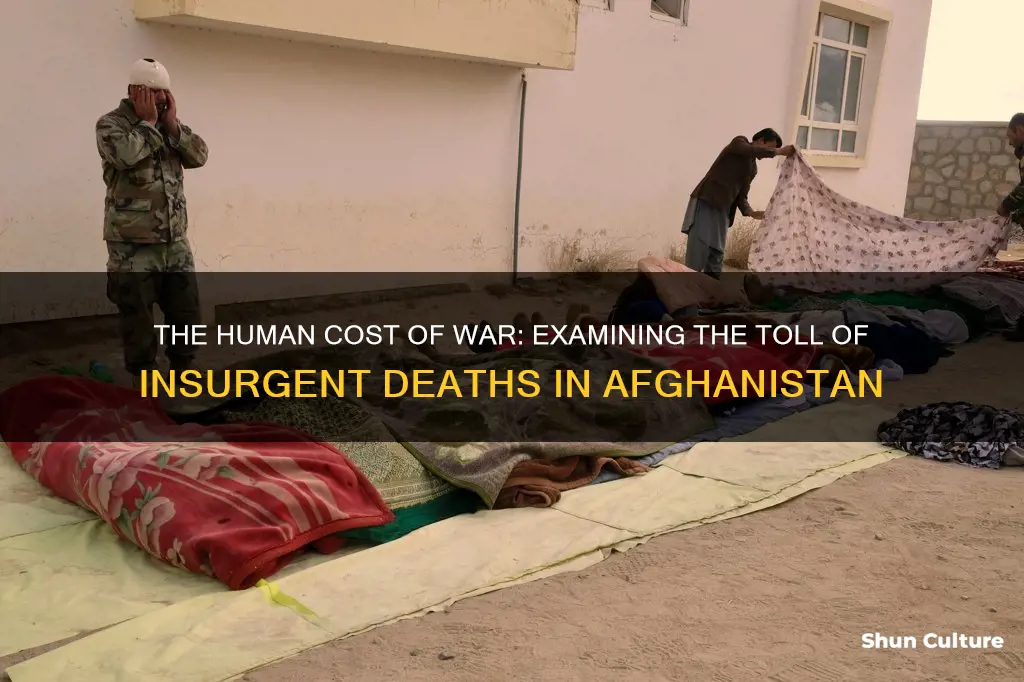 how many insurgents have been killed in afghanistan