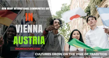 International Presence in Vienna: A Diverse Community Overview