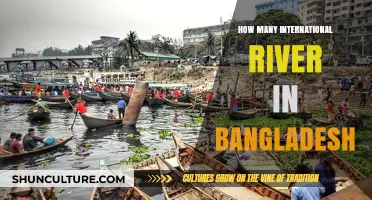 Exploring Bangladesh's Shared International Rivers: A Comprehensive Guide