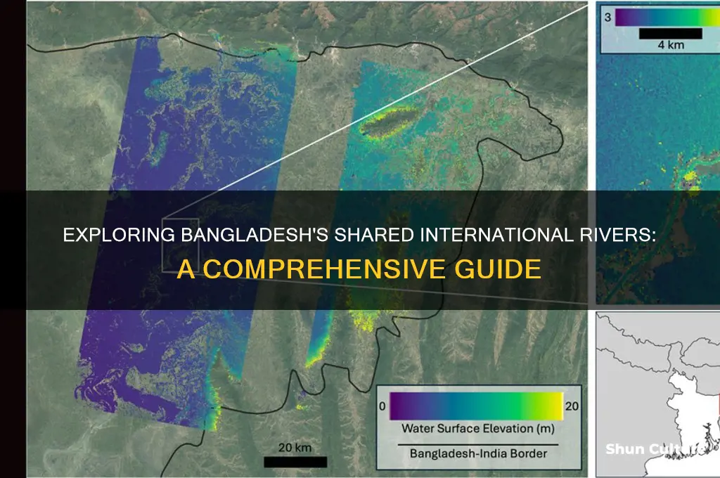 how many international river in bangladesh
