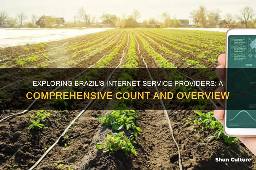 how many internet service providers are there in brazil