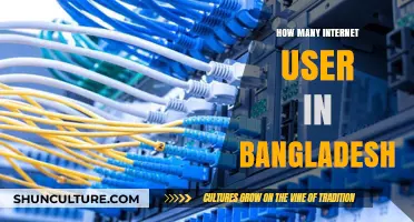 Exploring Bangladesh's Internet User Growth and Digital Transformation
