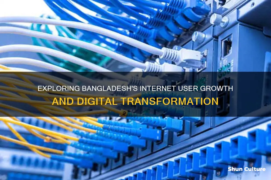 how many internet user in bangladesh