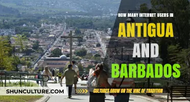 Exploring Antigua and Barbados: Current Internet User Statistics Revealed