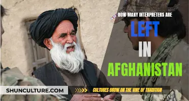 The Quiet Heroes Left Behind: Interpreters in Afghanistan