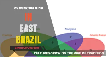Invasive Species in East Brazil: A Growing Ecological Concern