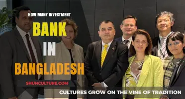 Exploring Bangladesh's Investment Banking Landscape: How Many Firms Operate?