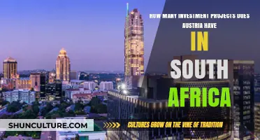 Austria's Investment Projects in South Africa: A Comprehensive Overview