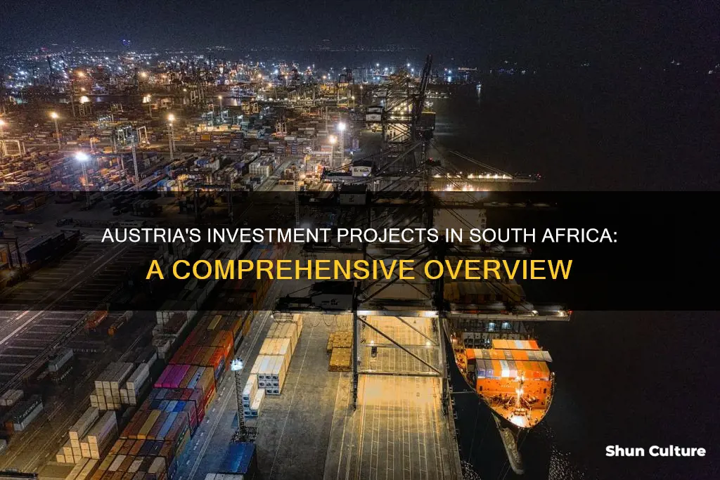 how many investment projects does austria have in south africa