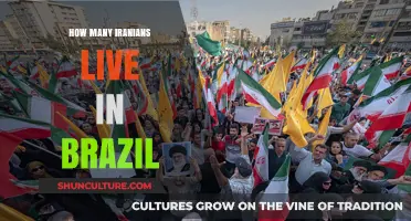 Exploring the Iranian Community: How Many Iranians Reside in Brazil?