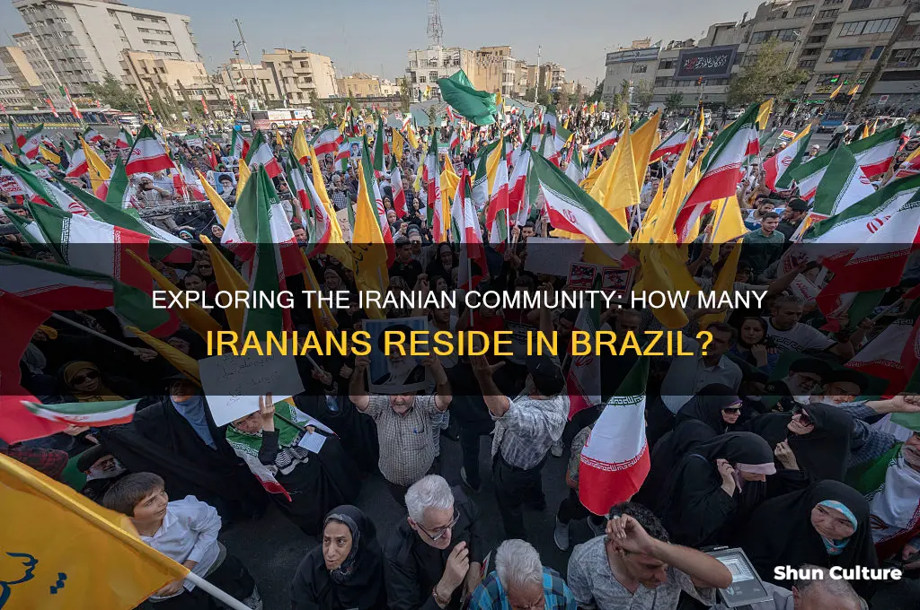 how many iranians live in brazil