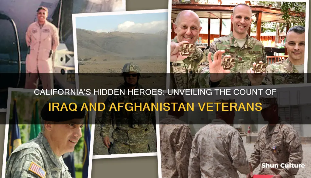 how many iraq and afghanistan veterans california