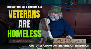 A Troubling Trend: The Plight of Homeless Veterans from the Iraq and Afghanistan Wars