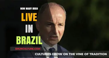 Exploring the Irish Community: How Many Irish Live in Brazil?