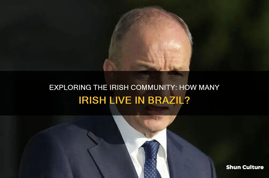 how many irish live in brazil