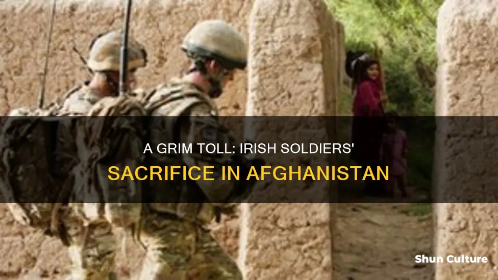 how many irish soldiers died in afghanistan