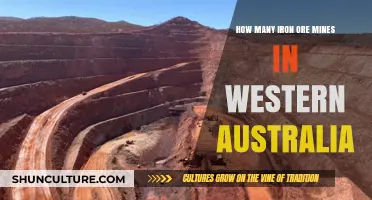 Iron Ore Mines: Western Australia's Rich Veins