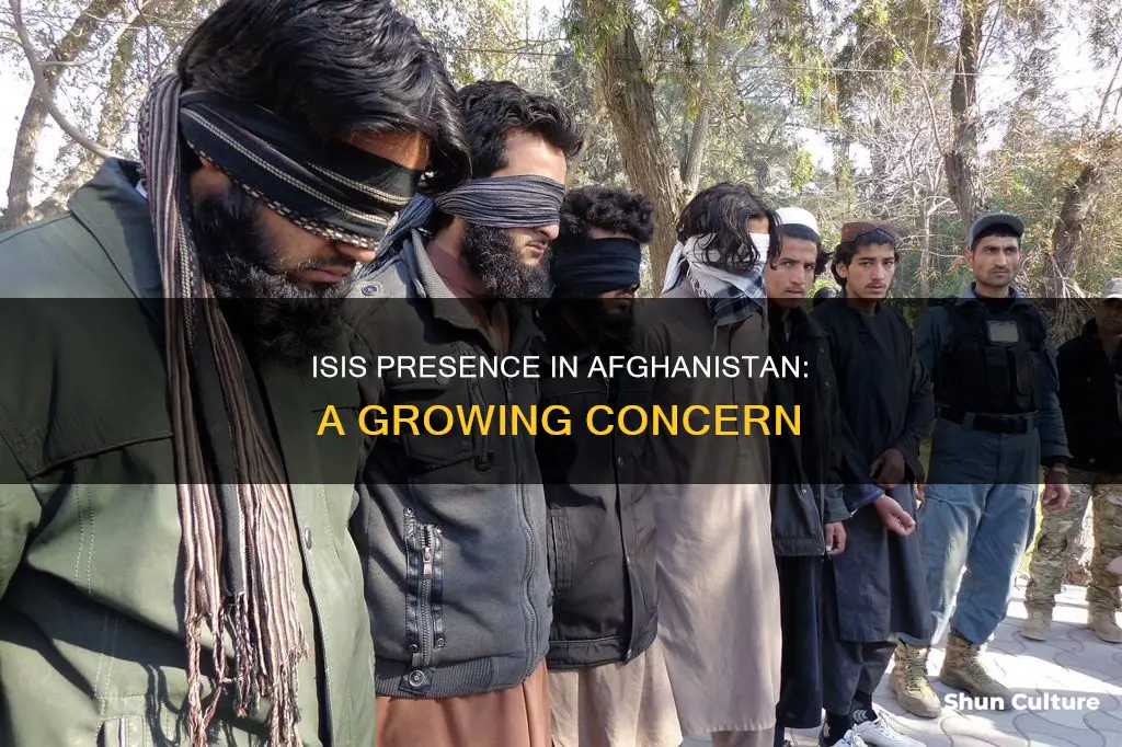 how many isis are in afghanistan